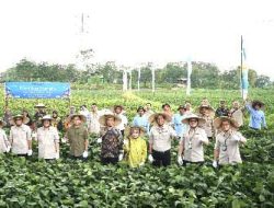 bank bjb Bersama Petani Mitra Binaan PT. Kelola Agro Makmur di Jawa Tengah Lakukan Panen Raya Komoditi Edamame