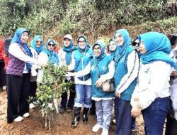 Siska Gerfianti Mengaku Aksi Penanaman Bibit Pohon di Area Bekas Kawasan Wisata, Merupakan Aktualisasi Dari 10 Program PKK