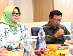 Libatkan Dunia Usaha dalam Perlindungan Anak, APSAI Kabupaten Bandung Segera Terbentuk