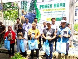 Lapas Kelas I Sukamiskin, Sukses Melaksanakan Kegiatan Panen Melon Jenis Inthanon dan Golden di Pos Kerja Greenhouse