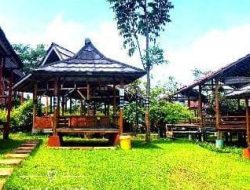 Desa Cikaso Kembangkan Ekowisata Sawah Lope dan Bumi Perkemahan Bukit Panagaran, Tawarkan Potensi Ekonomi Rp.210 Juta dari Sektor Wisata dan UMKM