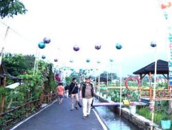 Sawah Lope dan Bumi Perkemahan Bukit Panagaran: Wujud Kekompakan Desa Cikaso dalam Menggerakkan Ekonomi dan Melestarikan Lingkungan