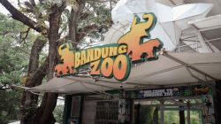 Pemerintah Kota Bandung Memastikan kawasan Kebun Binatang Bandung Tetap Dapat Dinikmati Publik