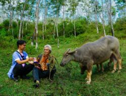 Dorong Produktivitas UMKM, BRI Cabang Cibadak, Kabupaten Sukabumi Salurkan KUR Rp.107.862.160.000 hingga Maret 2026