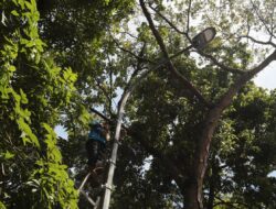 30 Titik PJU Baru Dipasang di Kawasan Taman Lalu Lintas Bandung