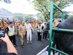184 Petugas Turun ke Lapangan, Bandung Pastikan Hewan Kurban Sehat