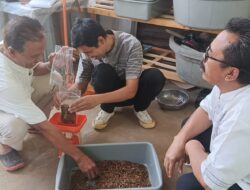 USB YPKP Dorong Ekonomi Sirkular di Padasuka, Sampah Organik Diolah Menjadi Maggot Bernilai Ekonomi